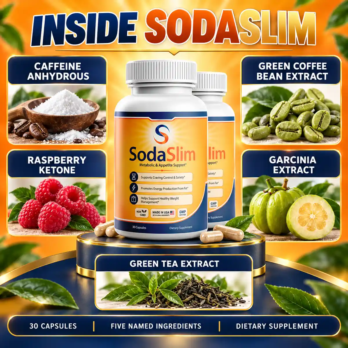 The SodaSlim ingredient graphic naming caffeine anhydrous, green coffee bean extract, raspberry ketone, garcinia extract and green tea extract